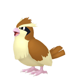 Pidgey