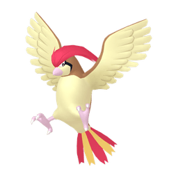 Pidgeotto