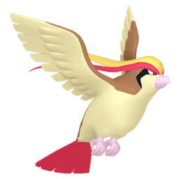 Pidgeot