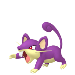 Rattata