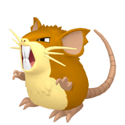 Raticate