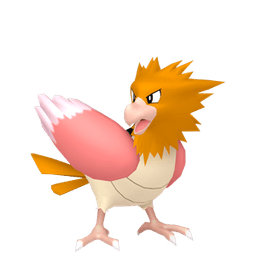 Spearow