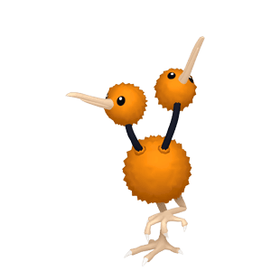 Doduo