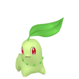 Chikorita