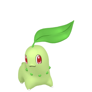 Chikorita