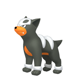 Houndour