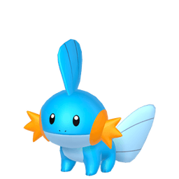 Mudkip