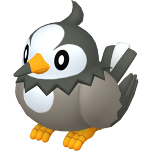 Starly