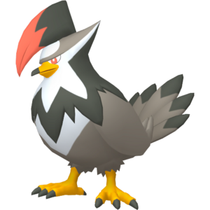 Staraptor